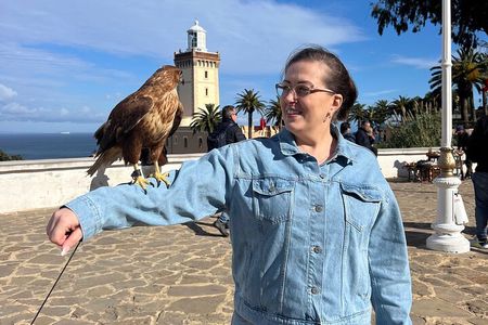 4 Hour Tangier walking tour with lunch ,kasbah, souks & camels 