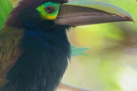 Curicancha Reserve Nature Walk 