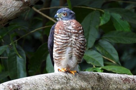 Curicancha Reserve Nature Walk 