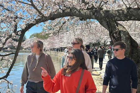 Celebrate 250th: Washington Monument Ticket & National Mall Tour