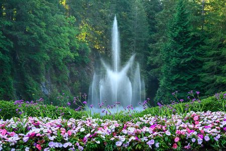 Victoria and Butchart Gardens, an Elevated Experience
