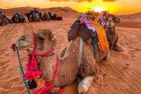 3-Day Merzouga Desert Tour:Atlas Mountains,Camel Ride&Sahara Camp