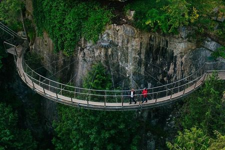Vancouver and Capilano Suspension Bridge, a Soft Adventure Tour