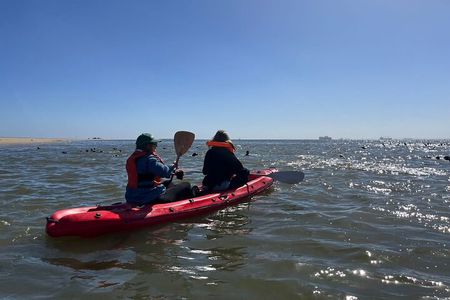 Seal Kayaking and Sandwich Harbour tour