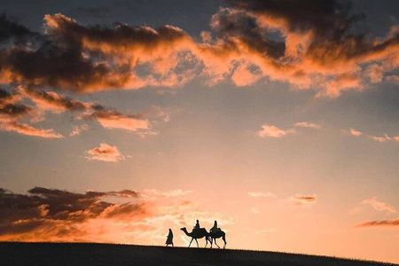 Camel ride in the Agafay Desert in Marrakech and dinner 