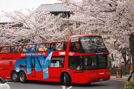 Kyoto Hop-On, Hop-Off Sightseeing Bus Tour