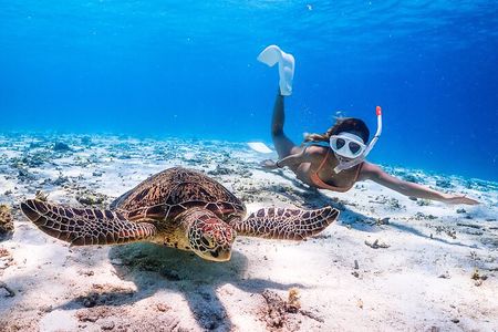 Okinawa Snorkeling Tour Experience