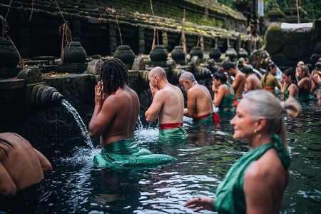 Top Ubud Attractions: Private Full-Day Guided Tour