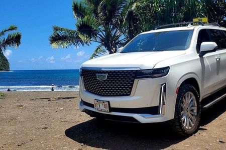 VIP Private Road to Hana Tour with Pick Up