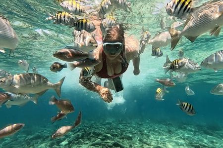 Excursion to the Islands of Rosario Aquarium and Playa Blanca de Barú