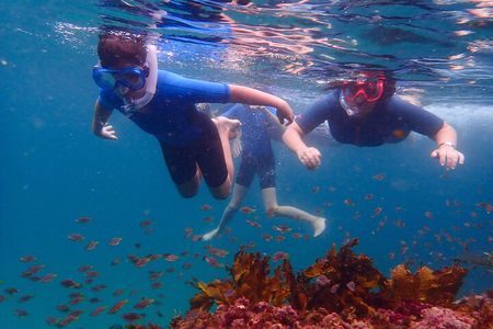 Snorkeling Adventure for Kids with Private Guide In Sydney