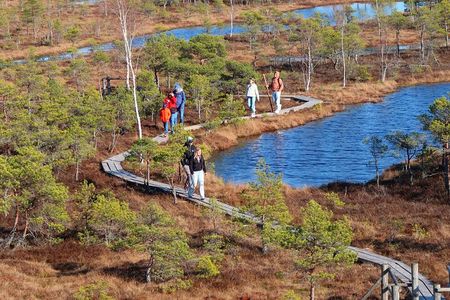 From Riga: Jurmala and Kemeri National Park Tour + Baltic Sea