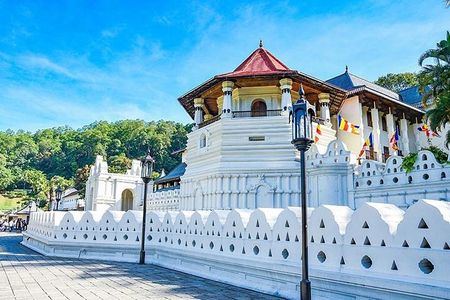 6 Days Tour of Sri Lanka 