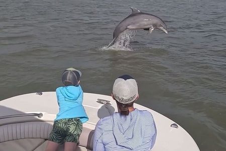 90-Minute Private Dolphin Tour in Hilton Head Island 