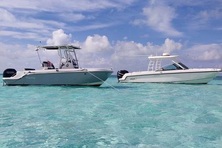 Stingray Snorkel