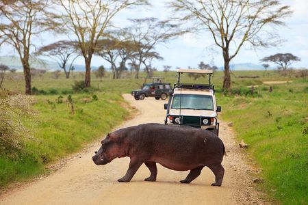 4 Days Private Camping Safari to Serengeti Ngorongoro & Tarangire