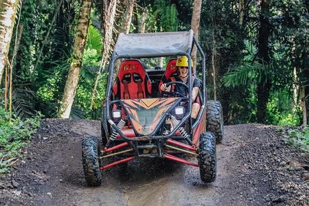 Private Bali UTV Adventure 