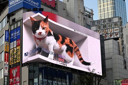 Complimentary Shinjuku Highlights Walking Tour (Pay‑by‑Tip)