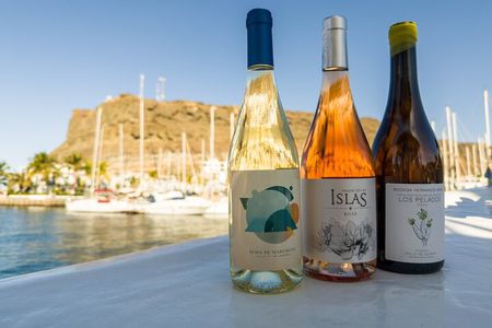 2h Dockside Canarian Local Wine & Food Tasting
