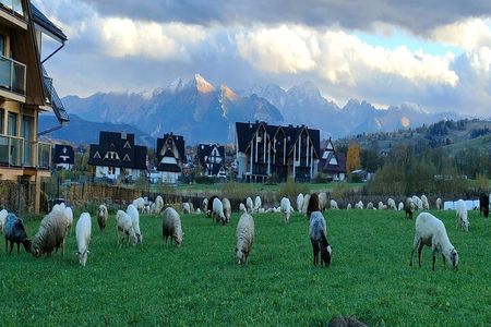 Zakopane and Thermal Pools Tour with Hotel Pickup