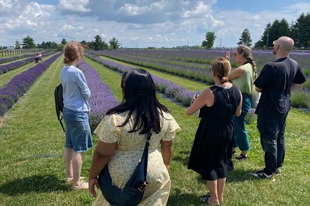 Lavender Farm Experience with Local Lunch, Day Trip from Toronto