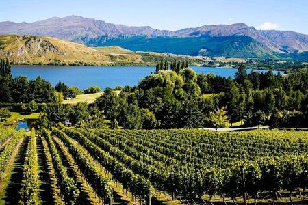 Queenstown Wine Tour