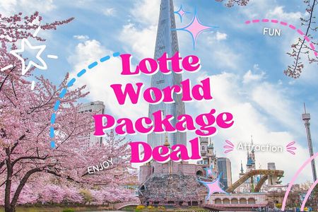 Lotte World Package Deal