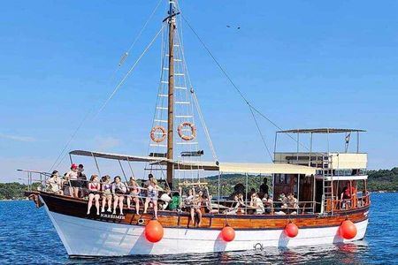 2-Hour Dolphin Guided Safari NP Brijuni from Fazana 
