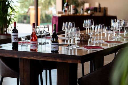 The classics - Guided tour with DOC Bolgheri tasting