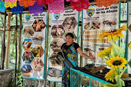 Cozumel: Honey Tasting & Hands-On Chocolate Experience