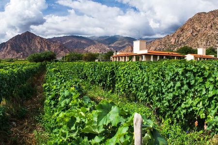 4-Day Salta: Humahuaca Valley & Cafayate Wineries