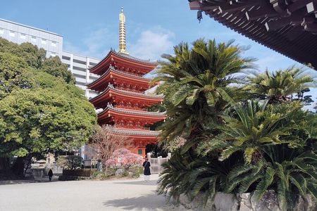 Hakata Old Town Guided Walking Tour in Fukuoka