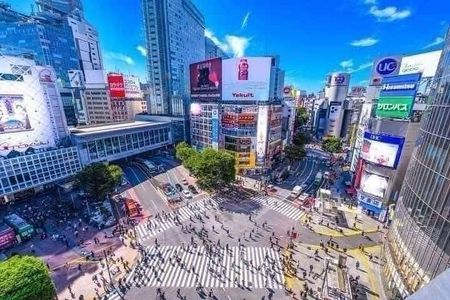 Best of Tokyo Private Tour English Driver &Customizable Itinerary