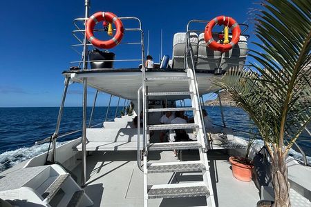Classic Boat Trip through South Gran Canaria