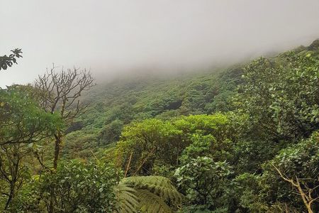 Mombacho Volcano Clouded Forest Trail and Ziplining 
