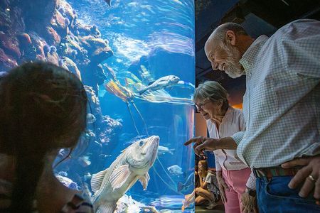 California Academy of Sciences General Admission Ticket