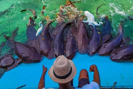 Visit 4 destinations in Rosario islands with oceanarium tickets 