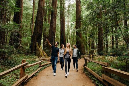 S.F, Muir Woods and Sausalito + Optional Alcatraz