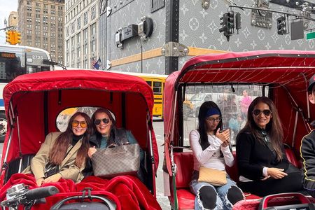New York City Private Tour