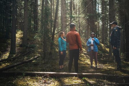 Private Forest Bathing Experience Connect with Nature