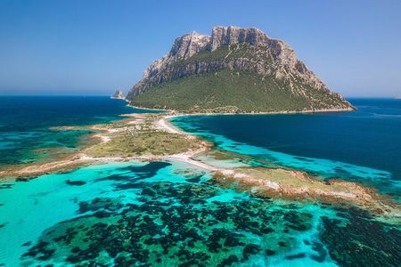 Snorkeling in the Marine Protected Area of Tavolara