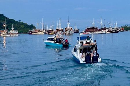 Early Bird Group Speedboat Tour - Explore Komodo Ahead of Crowds