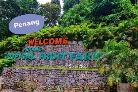 Penang Half Day City Tour Including Tropical Fruit Farm