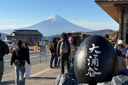 Hakone Private Car Tour from Tokyo with Onsen & Lake Ashi Cruise