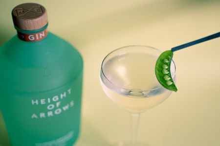 Holyrood Distillery Gin Tasting Experience