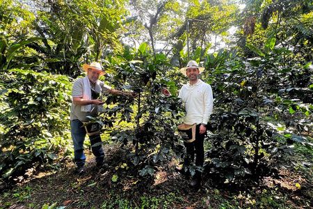 Coffee Farm Shared Tour from Salento