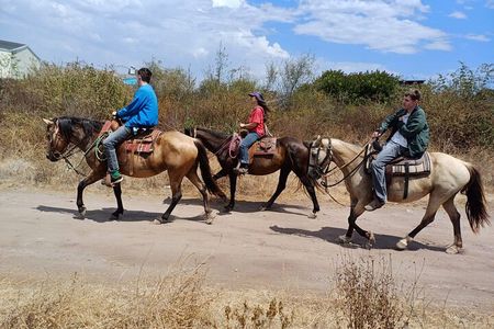Horseback Mountain Trail Ride