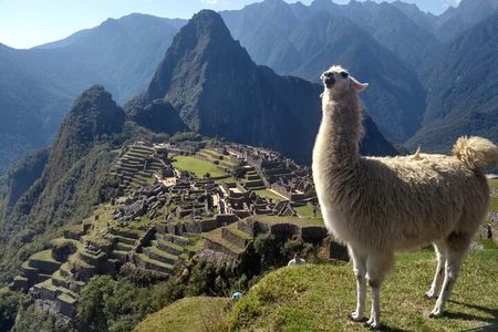 Machu Picchu Private Day Trip from Cusco