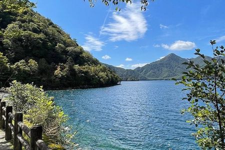 1 Day Private Nikko Tochigi Tour 