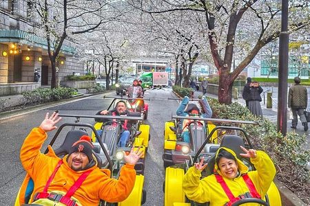 Go Kart Tokyo: Sakura & Shibuya Crossing Experience